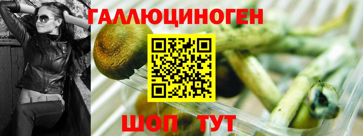 Галлюциногенные грибы мухоморы  Вход с VPN  Псилоцибиновые грибы Psilocybe  Гагарин 